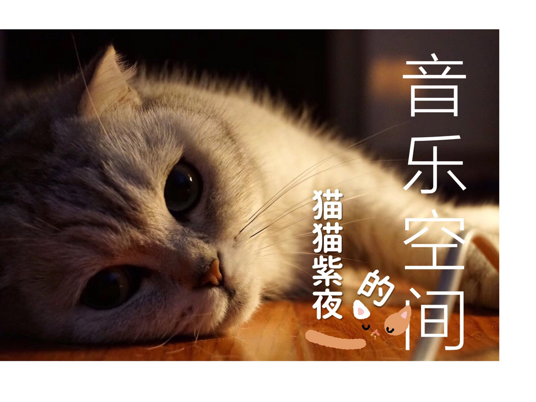 猫猫紫夜的音乐空间