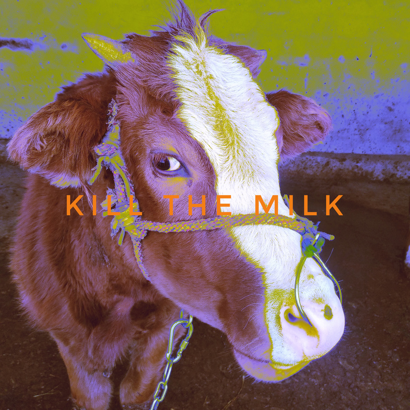 kill the milk电台