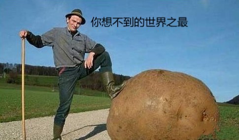 你想不到的世界之最