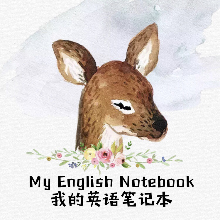 我的英语笔记本
