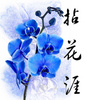拈花涯
