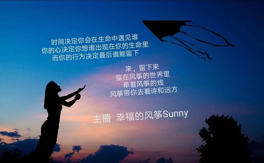 幸福的风筝_Sunny