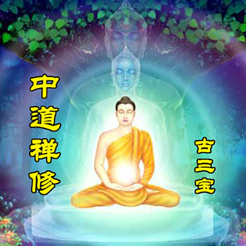 中道禅修引导