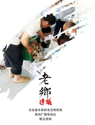 老乡进城