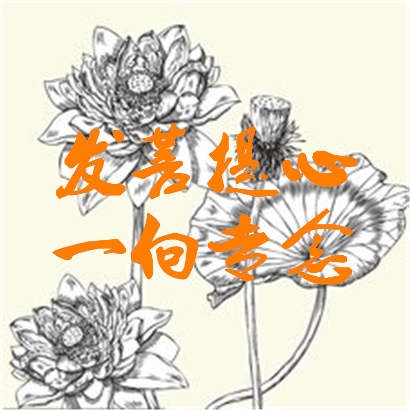 01发菩提心一向专念定弘法师