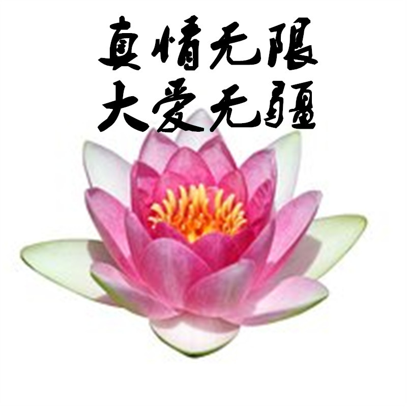 真情无限大爱无疆03