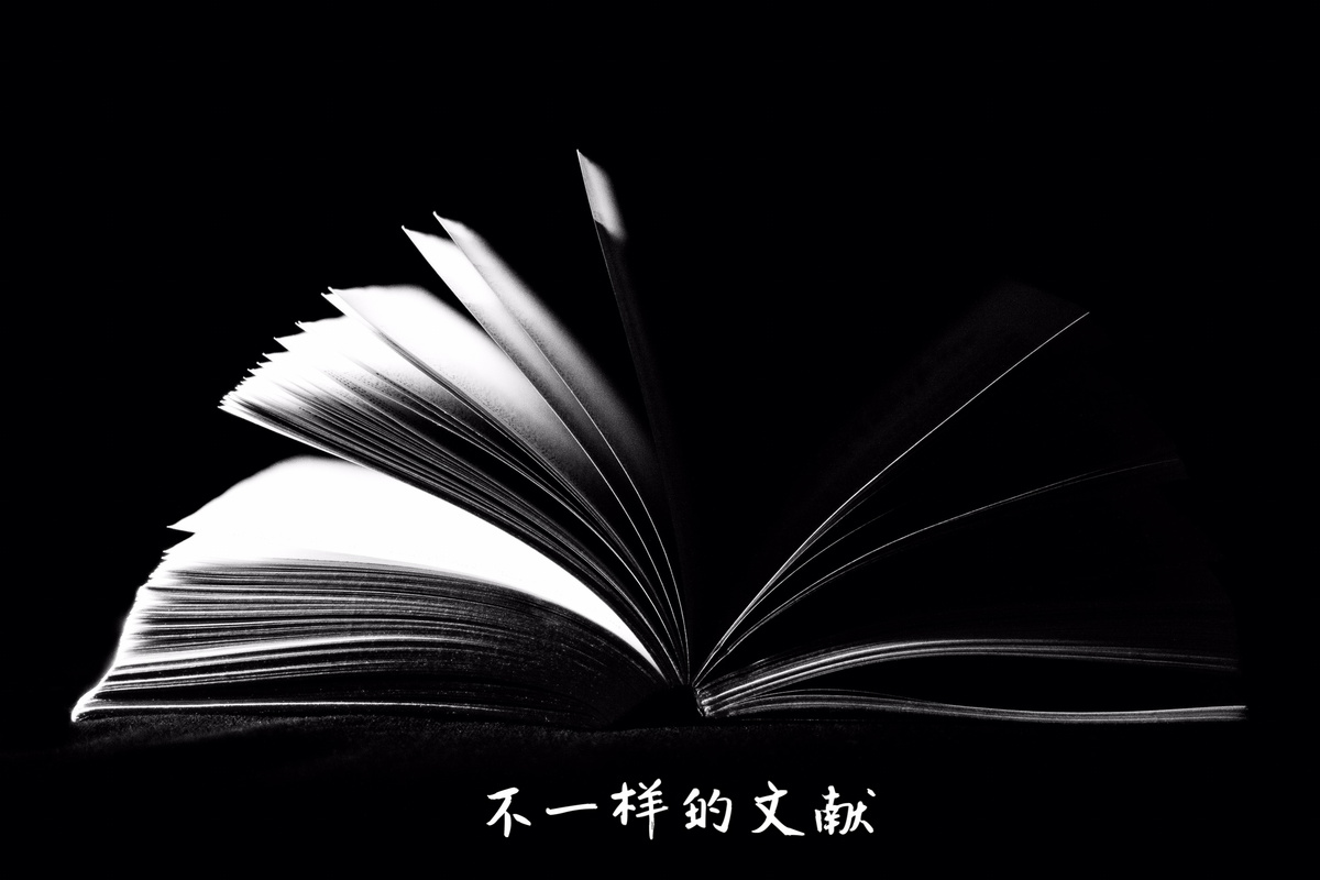 不一样的文献