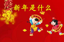 新年是什么