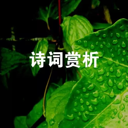 有声-诗词赏析