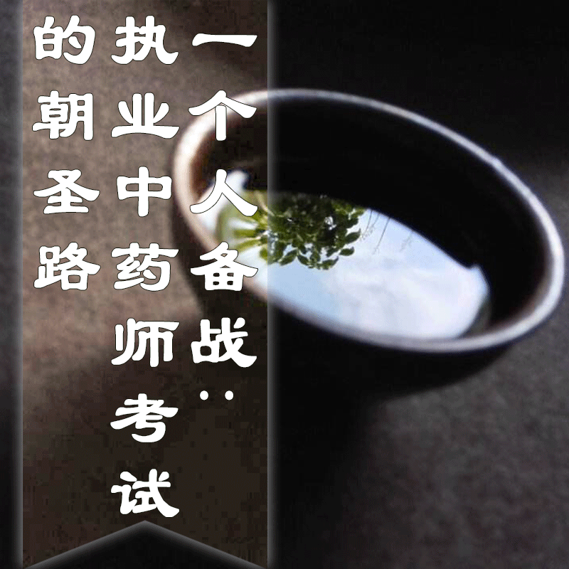 一个人备战：执业中药师考试的朝圣路