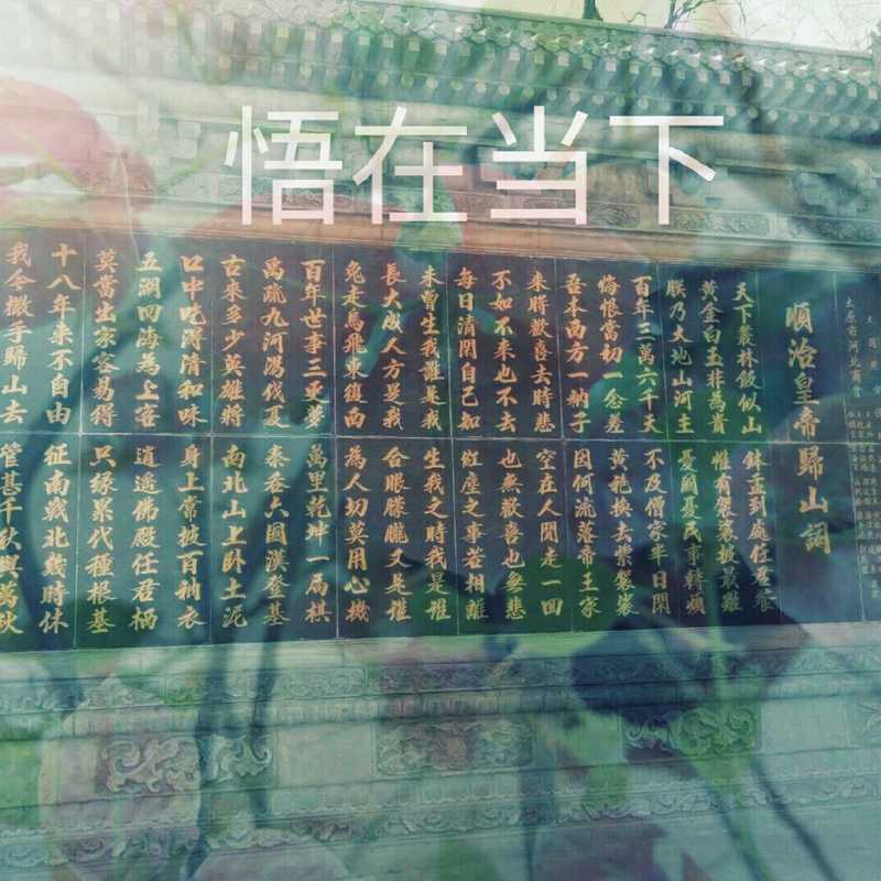悟在当下 悟在当下
