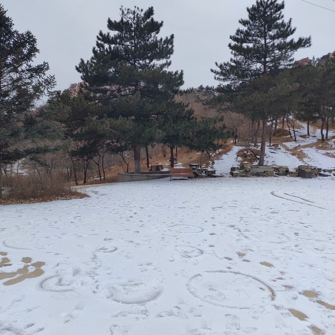 续小五义