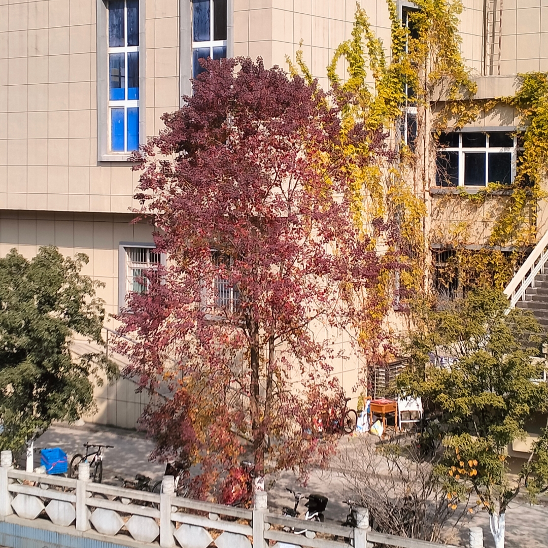 情感语录