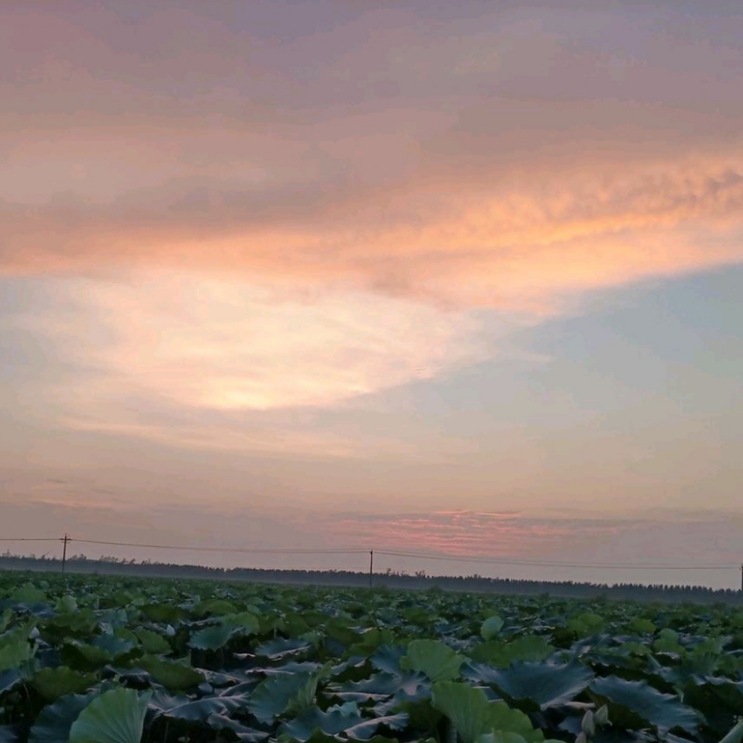 ✨森森