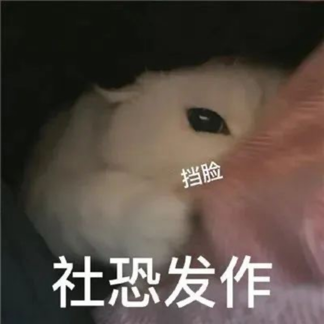 试试效果，赚点学费