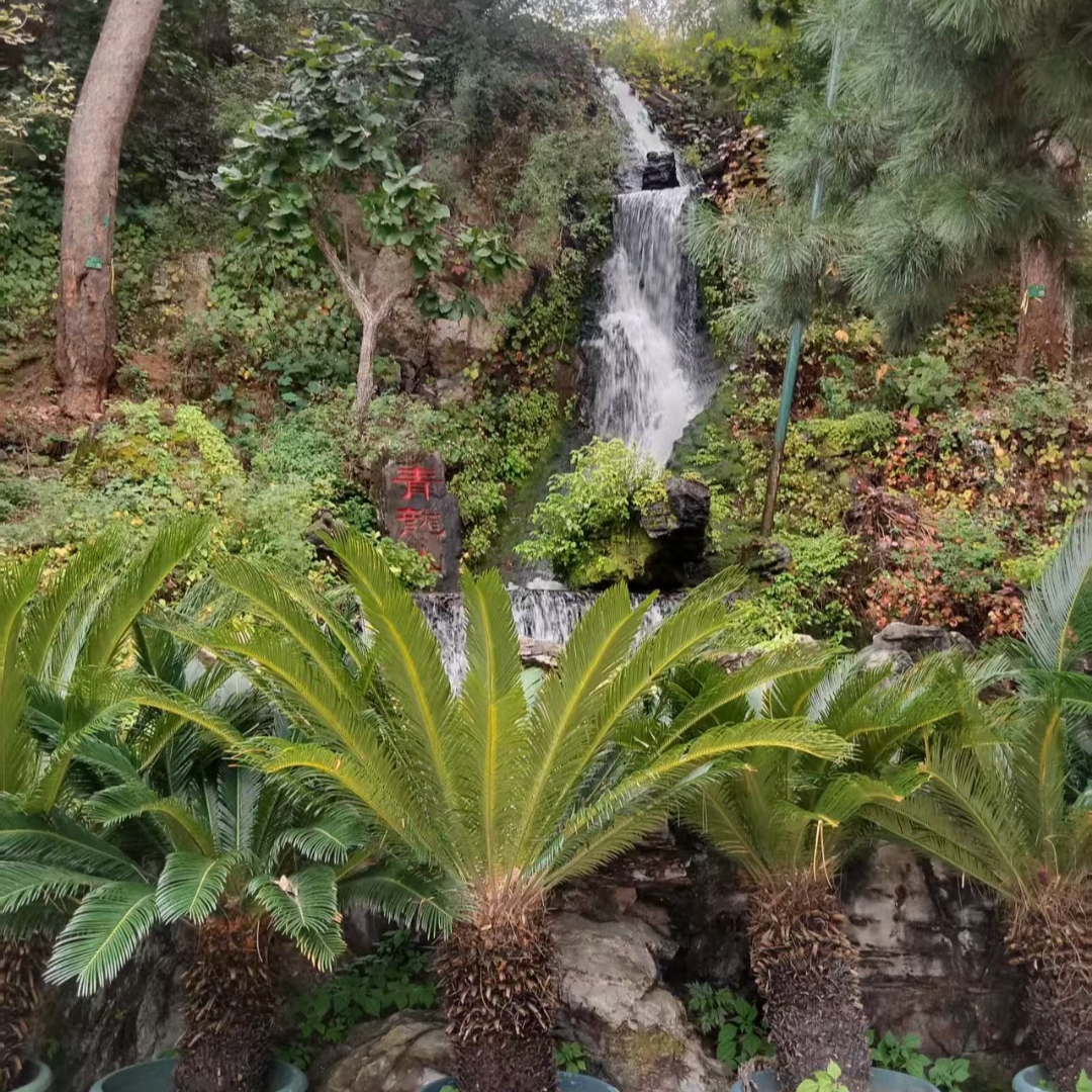 时光岁月