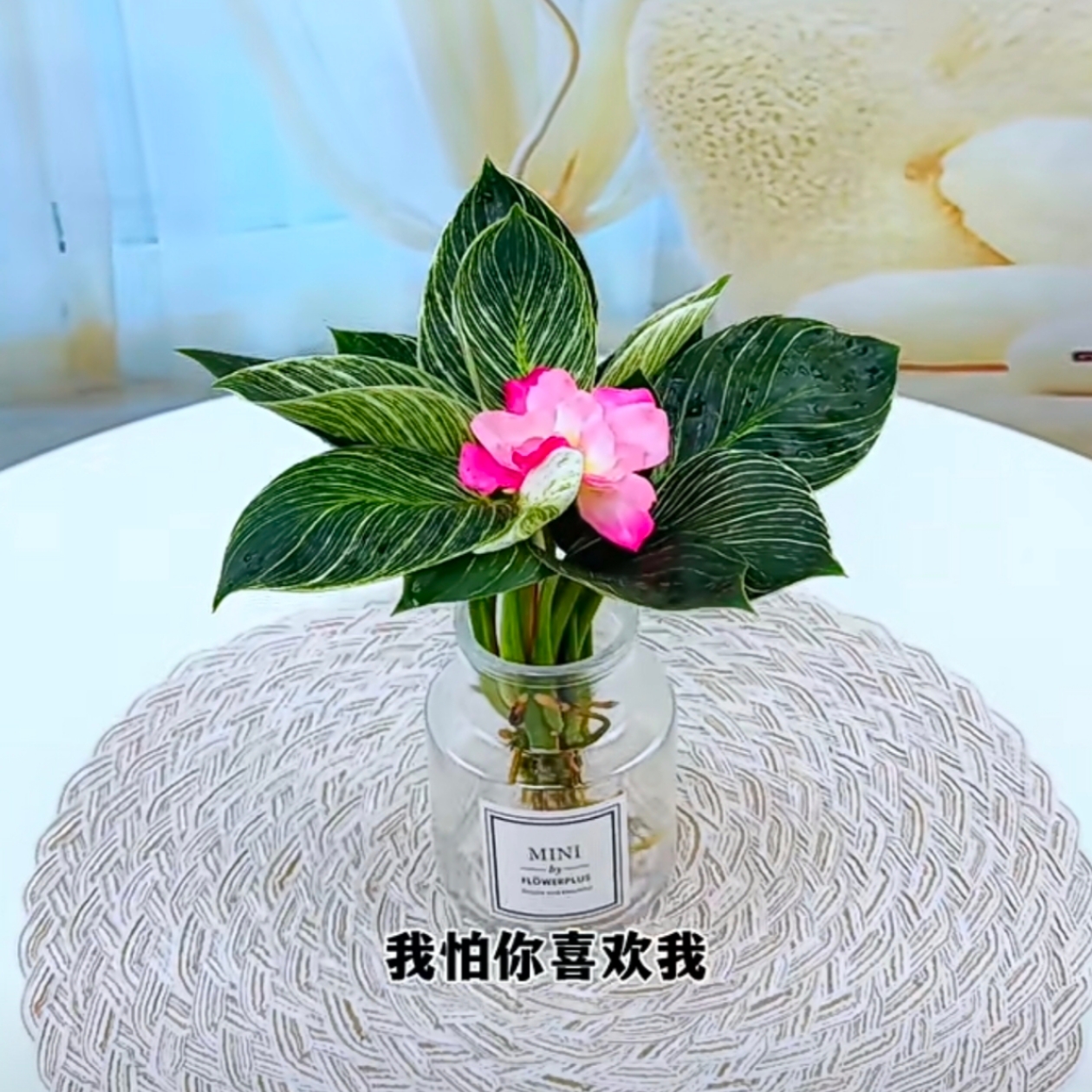 心理成长