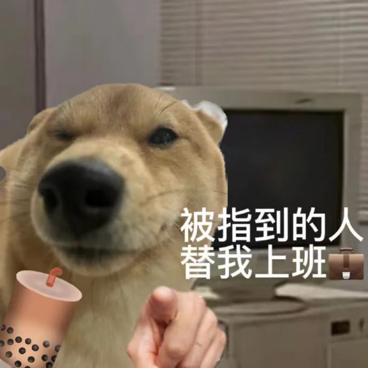 好多菜