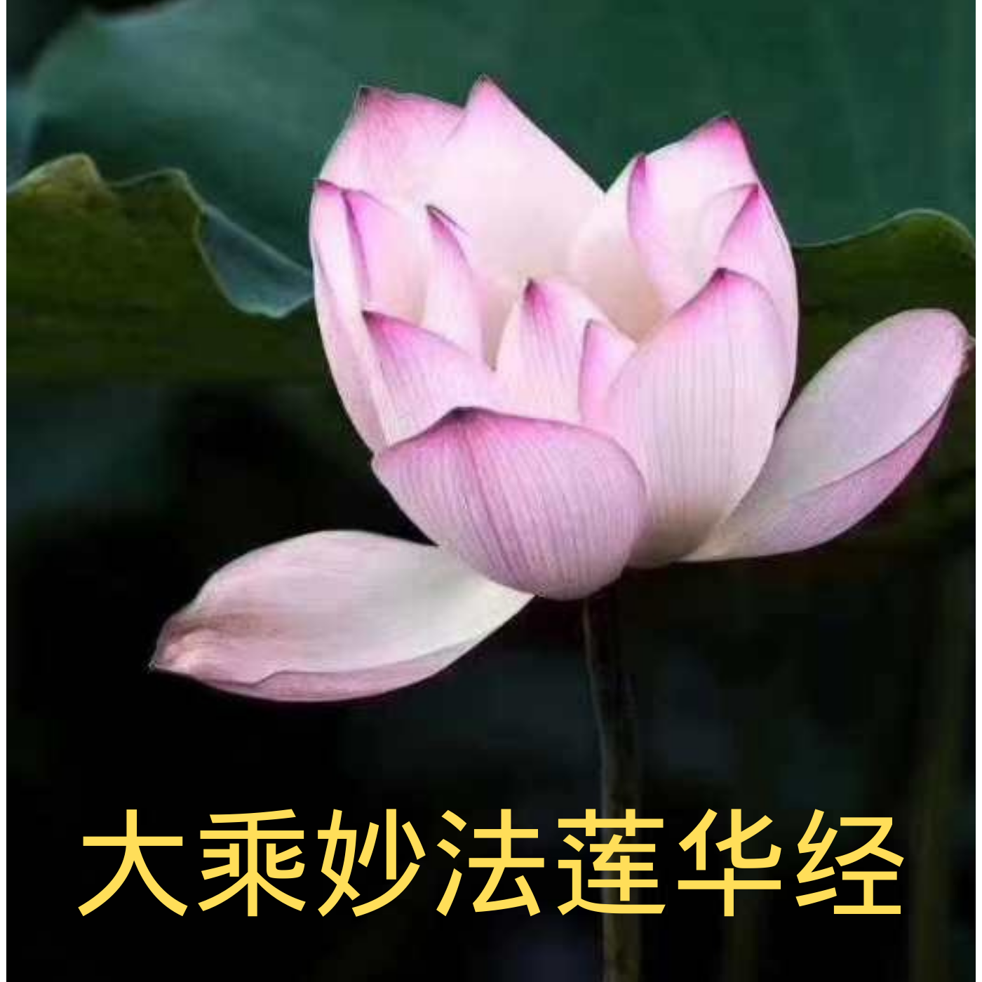 《大乘妙法莲华经》讲记