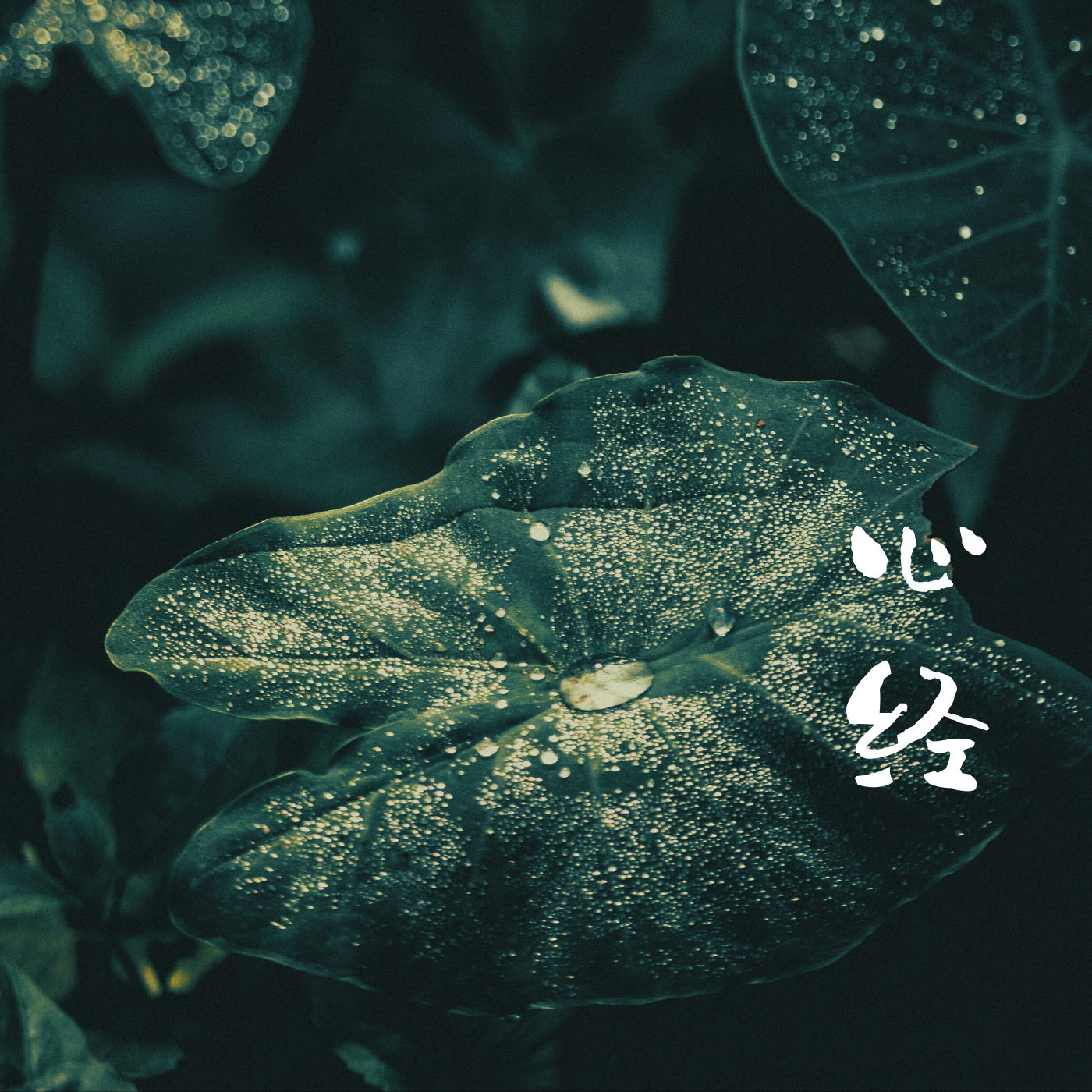 《心经》
