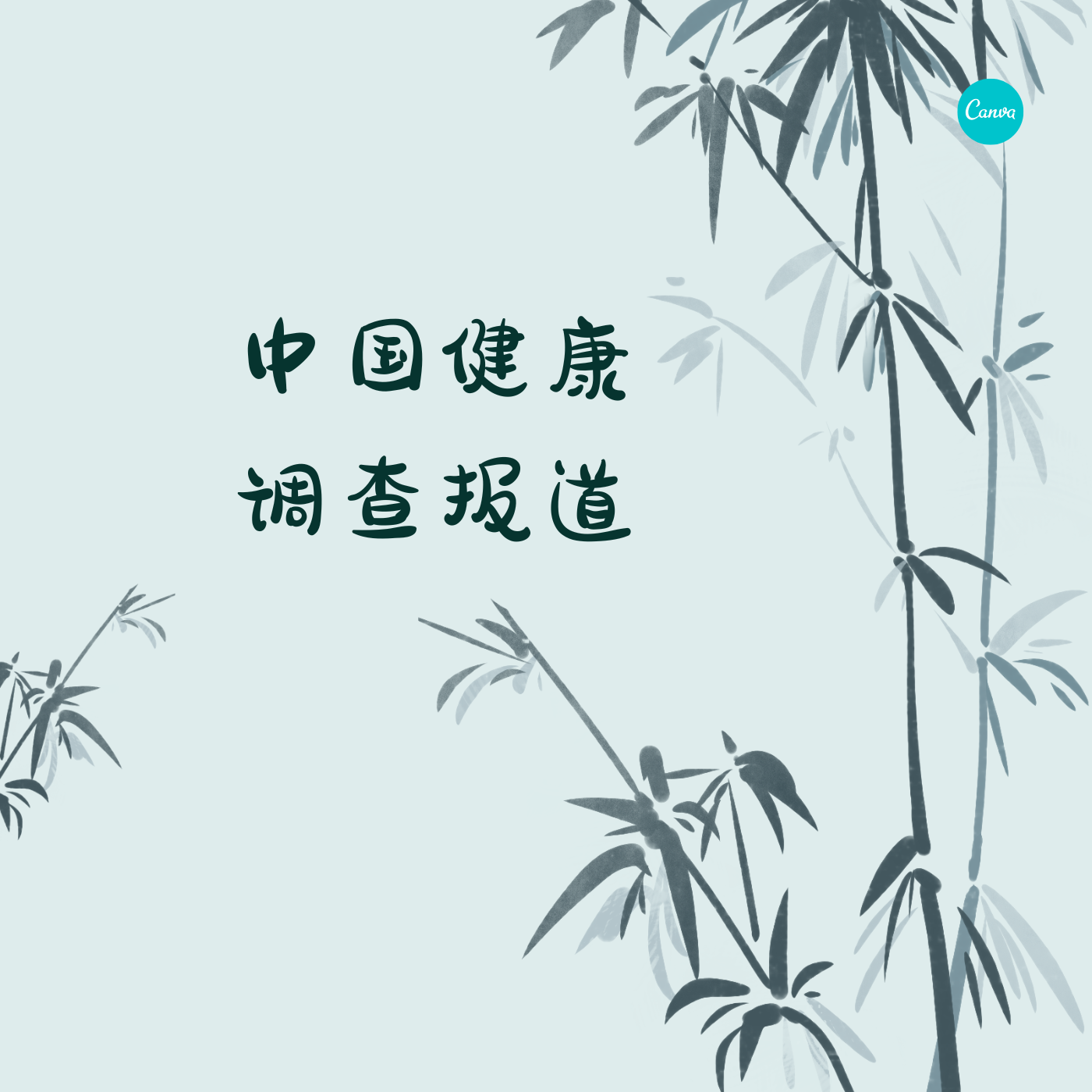 中国健康调查报道