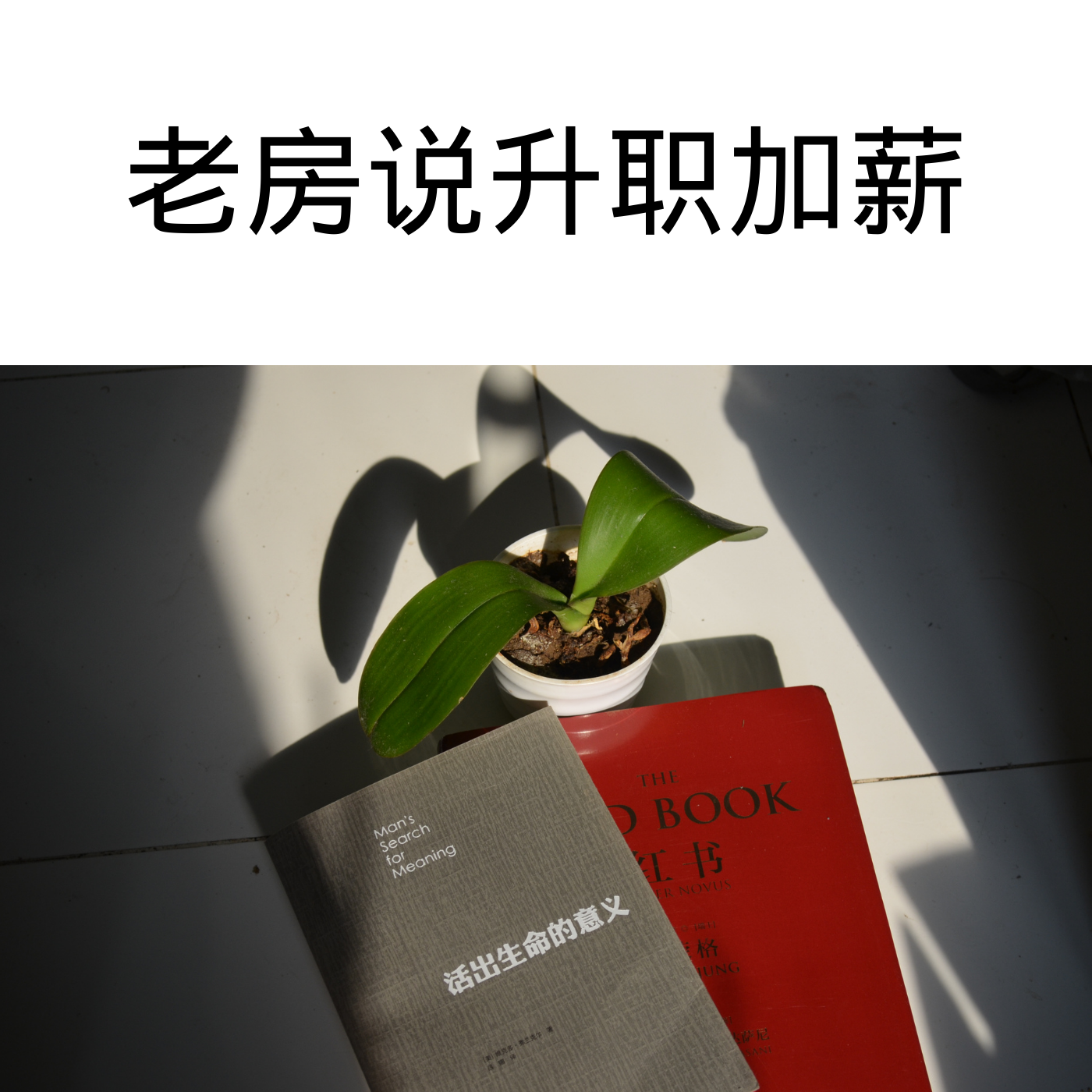 老房说升职加薪