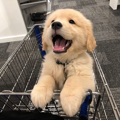 分享身边小故事