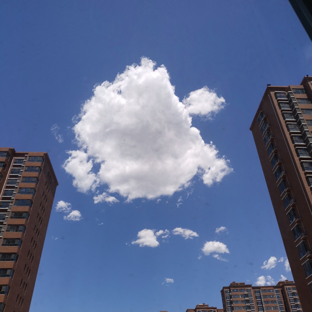 亲子阅读