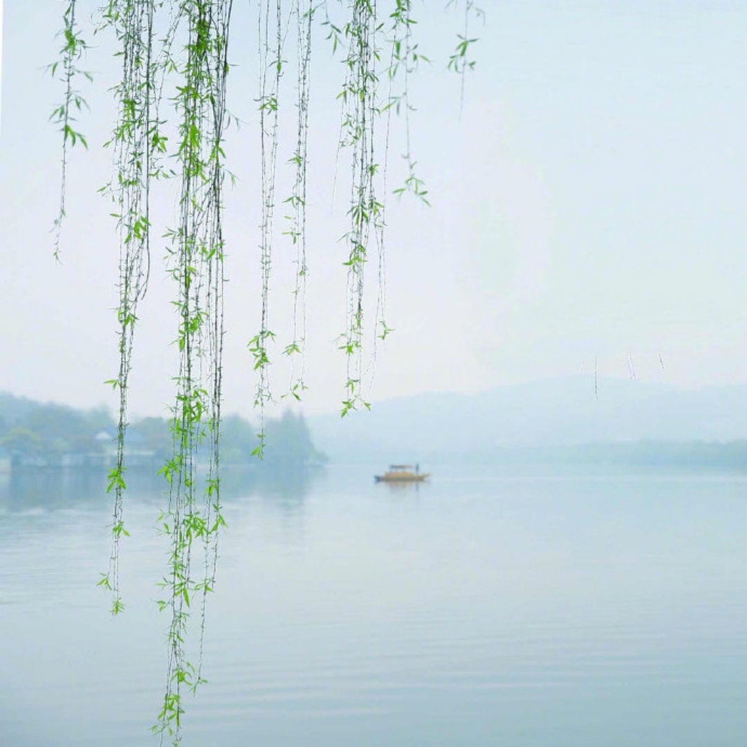 棠梨荞麦