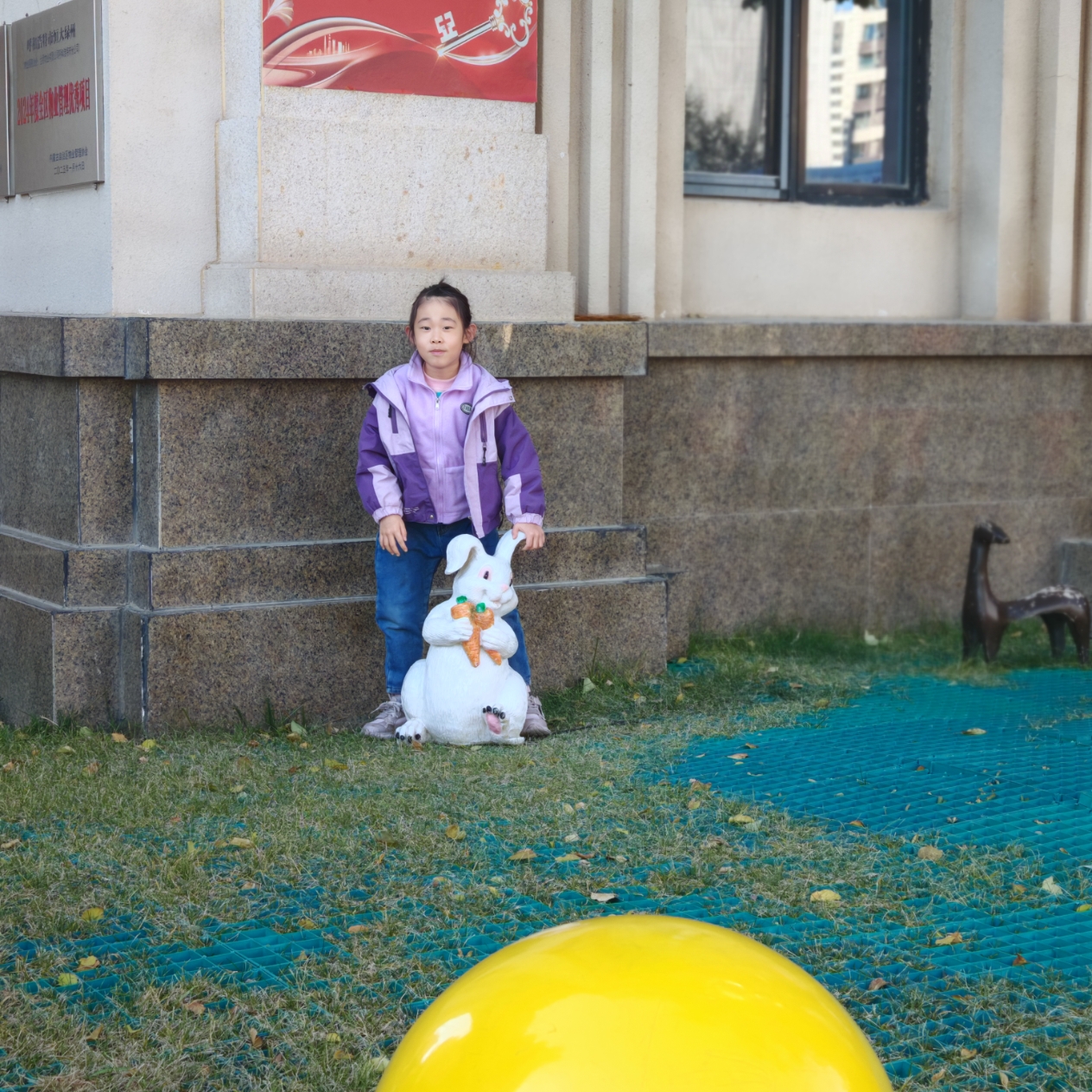 《笨狼的聪明计划》