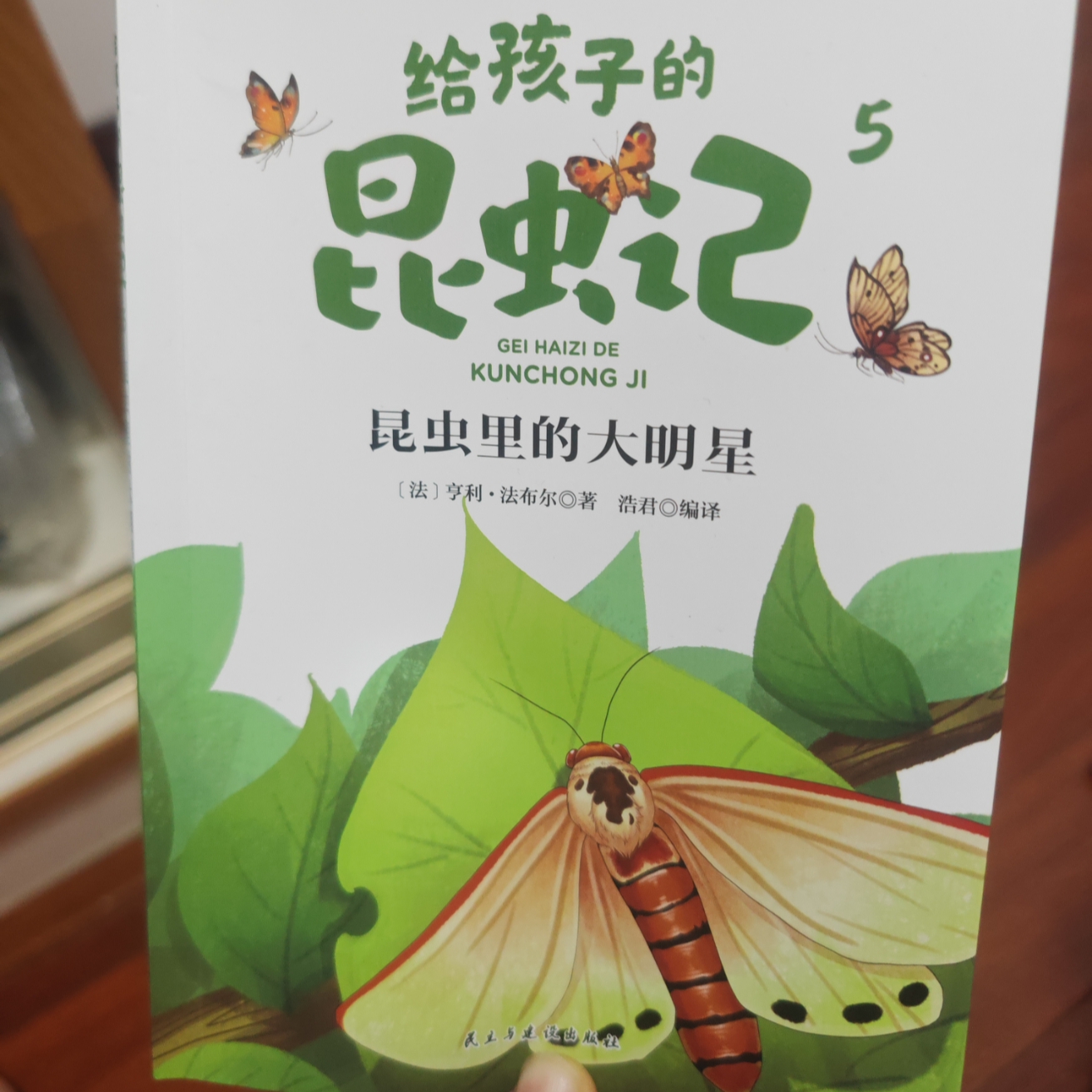 给孩子的昆虫记