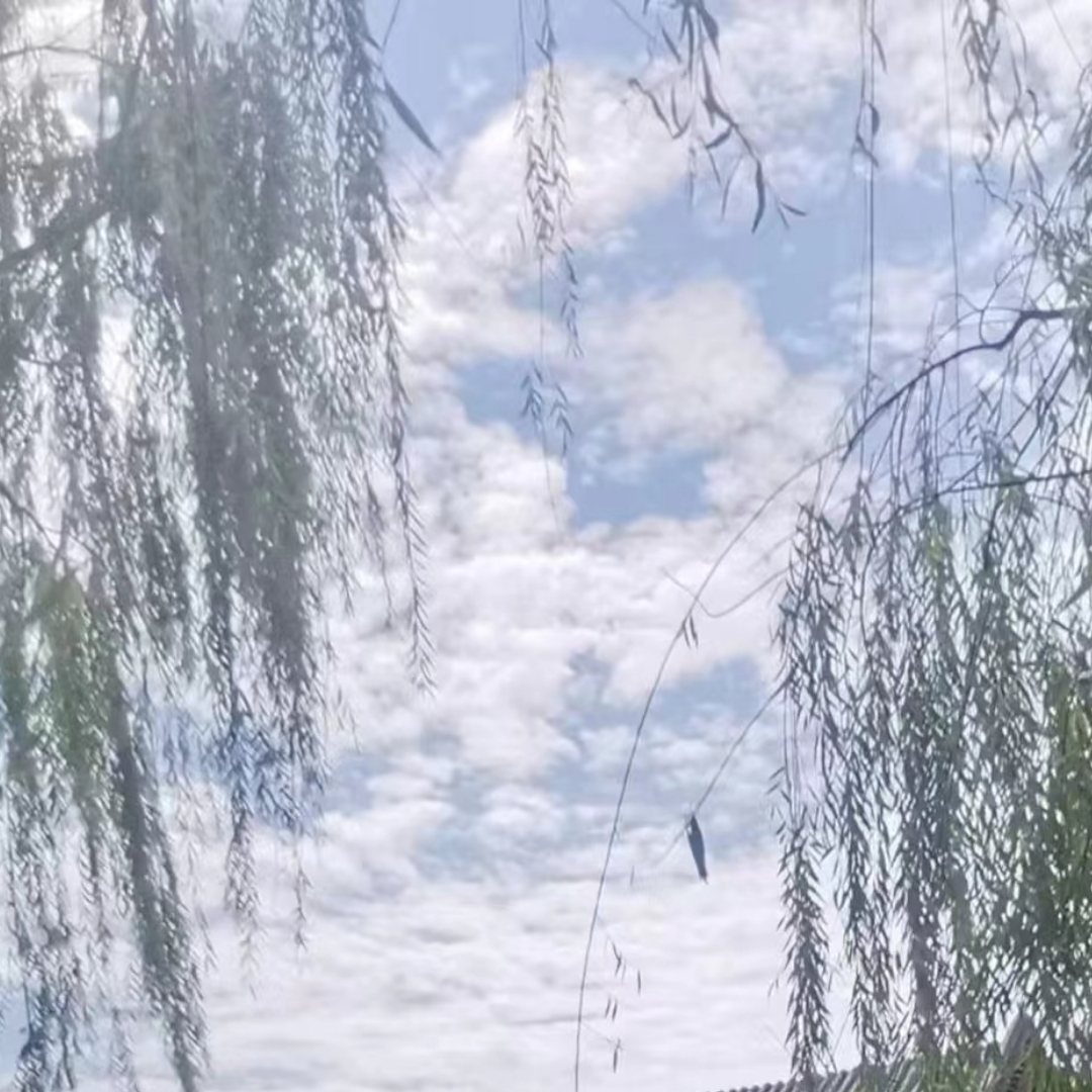 好文阅读