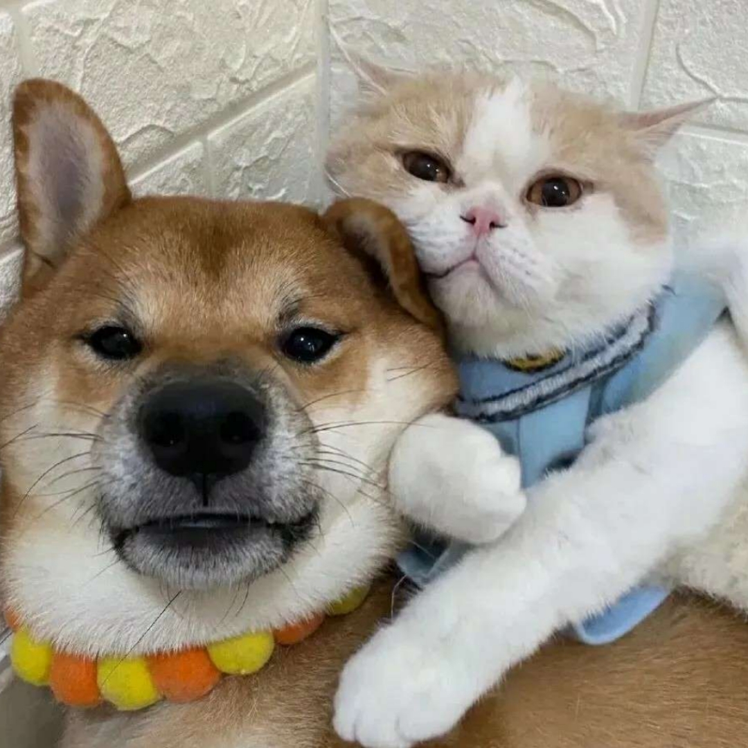 日常