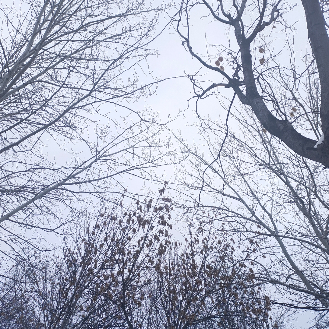 雪花