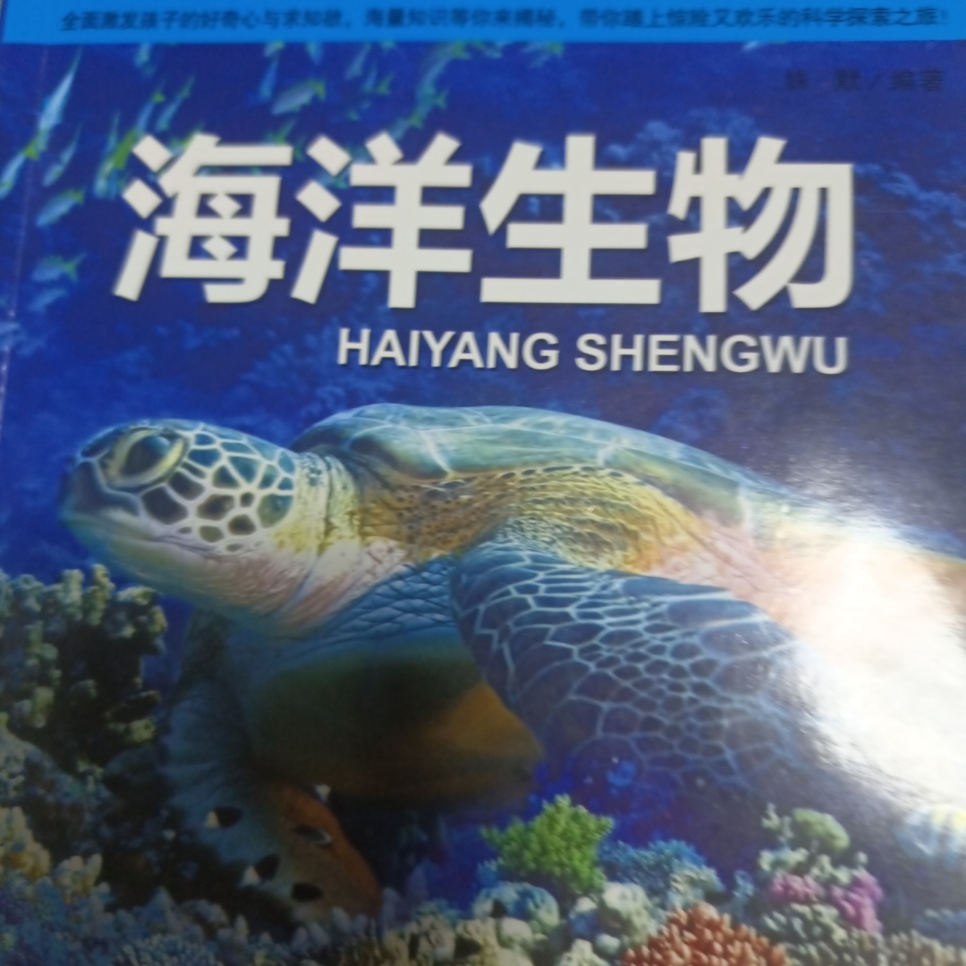 海洋生物