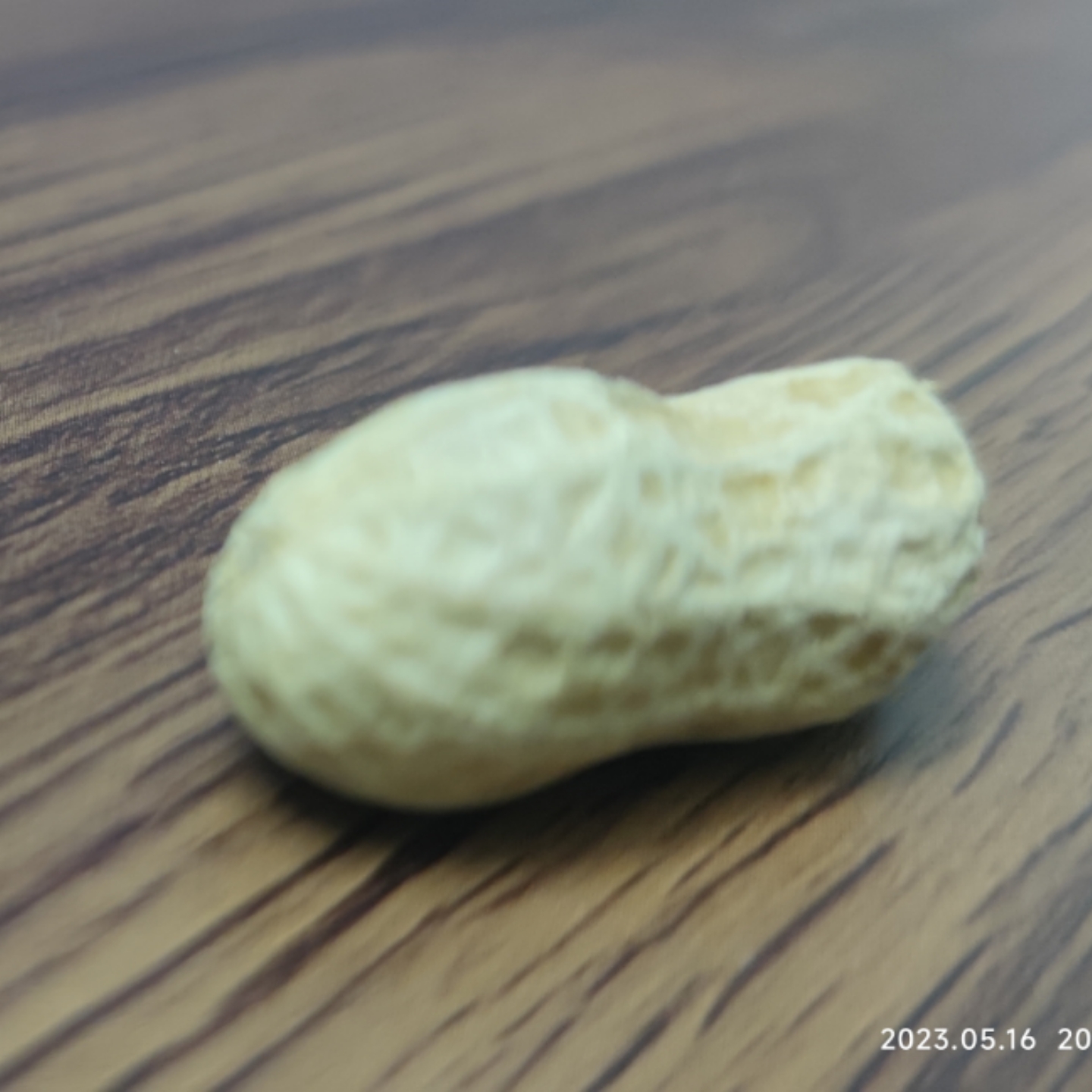 人间值得
