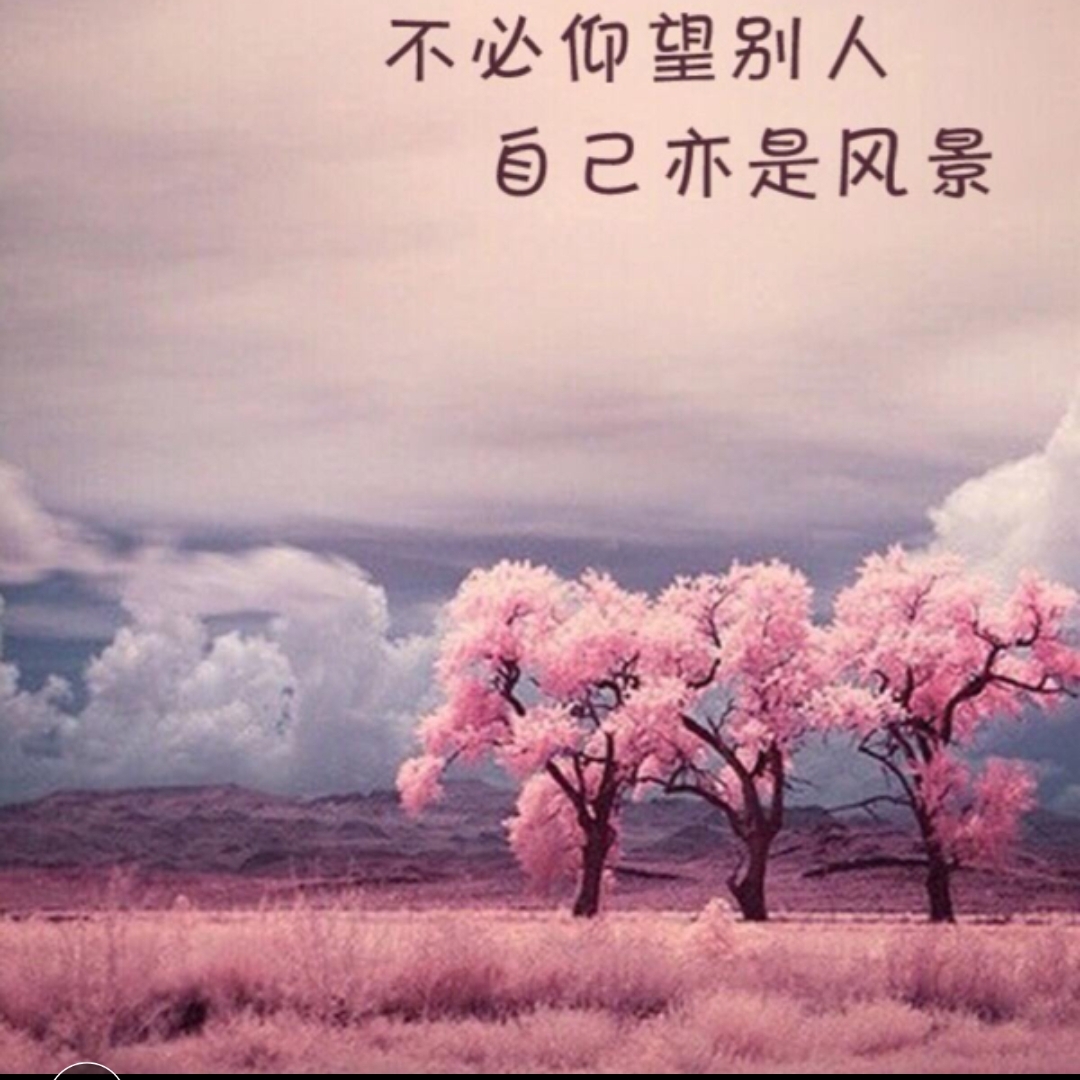 彩虹之声