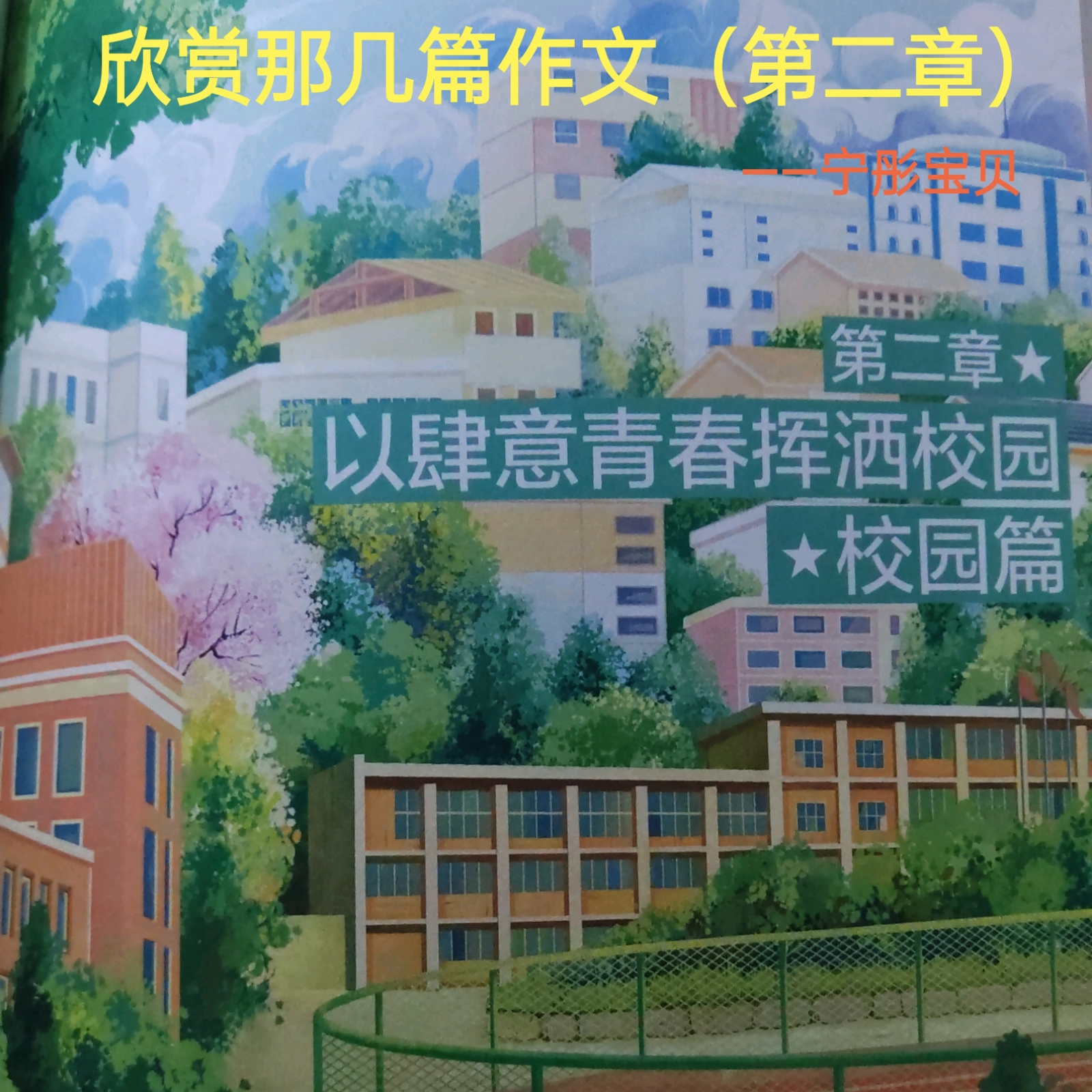 欣赏那几篇作文（第二章）