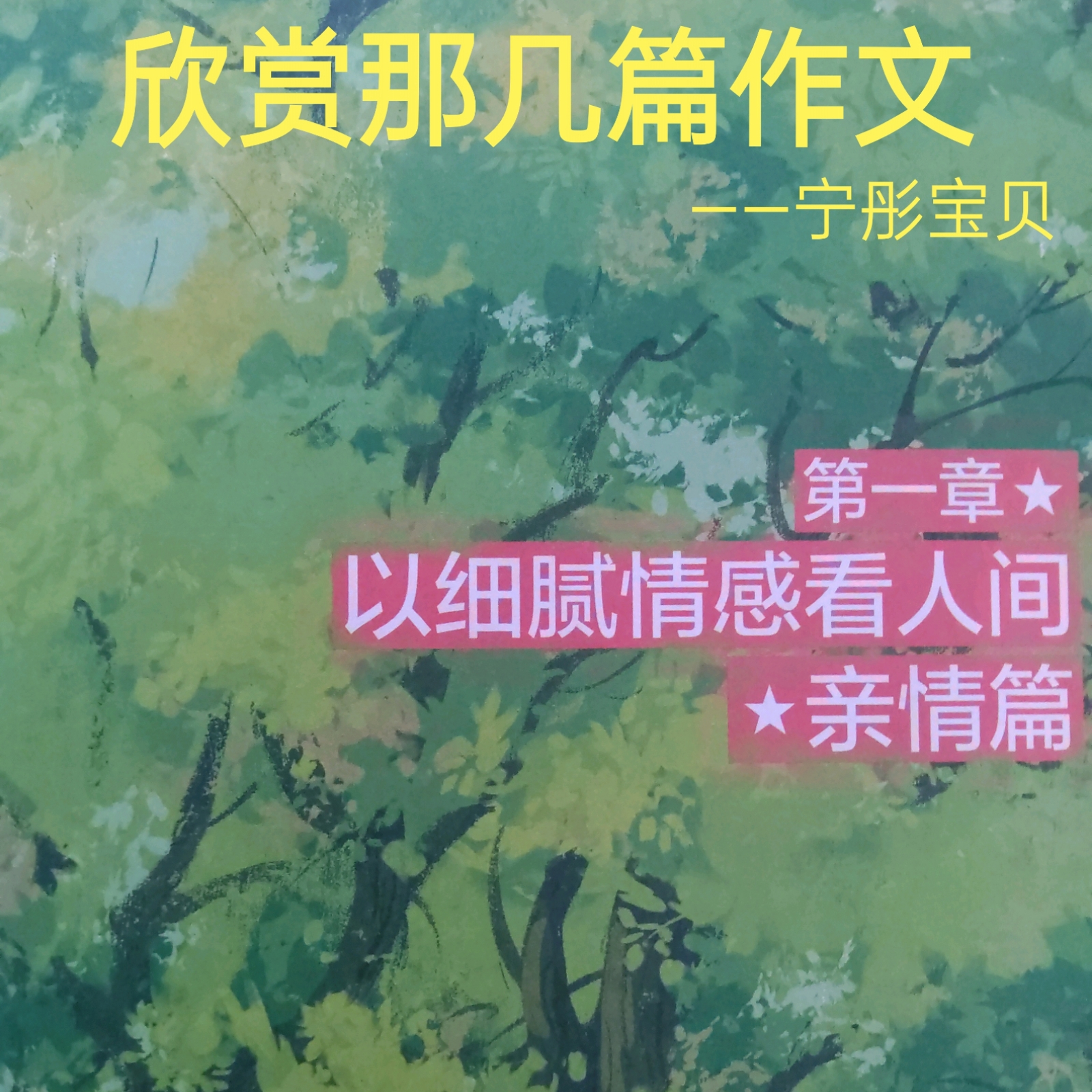 欣赏那几篇作文