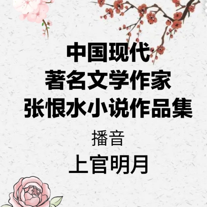 著名现代文学作家张恨水先生小说作品集