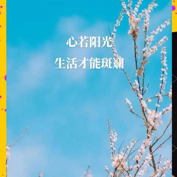 生活中的阳光