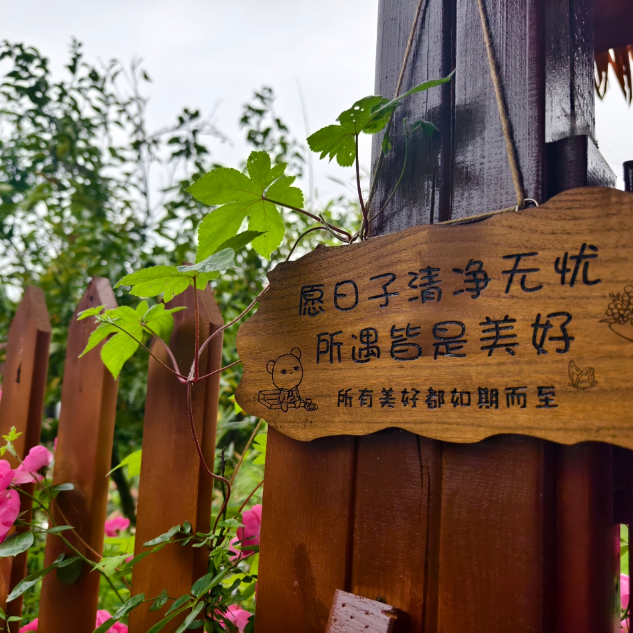 毛豆睡前故事