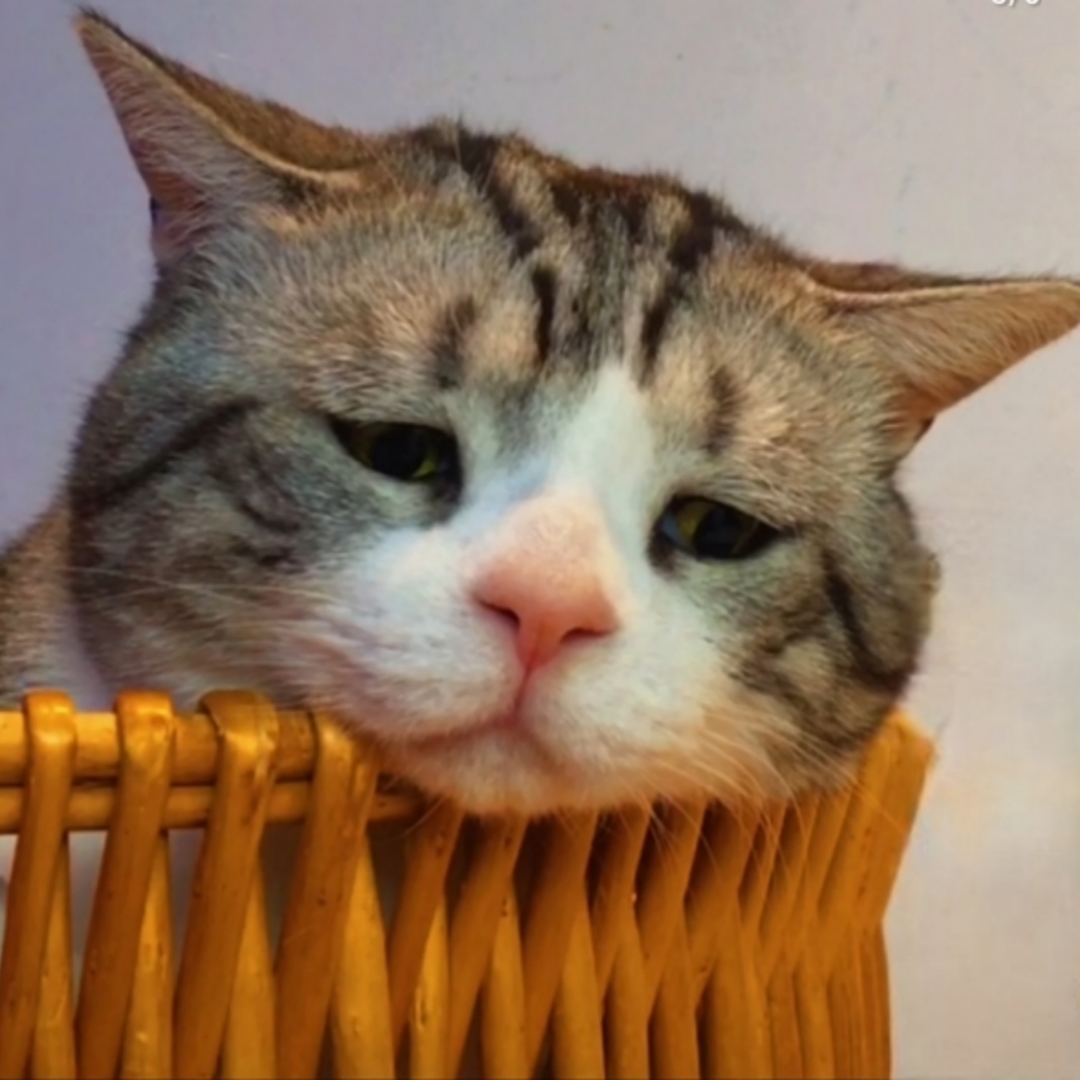 试录