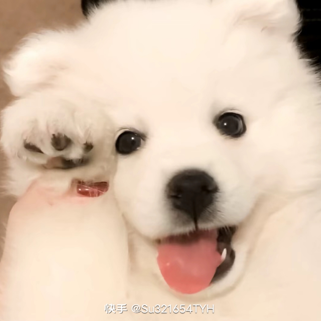 嘻哈