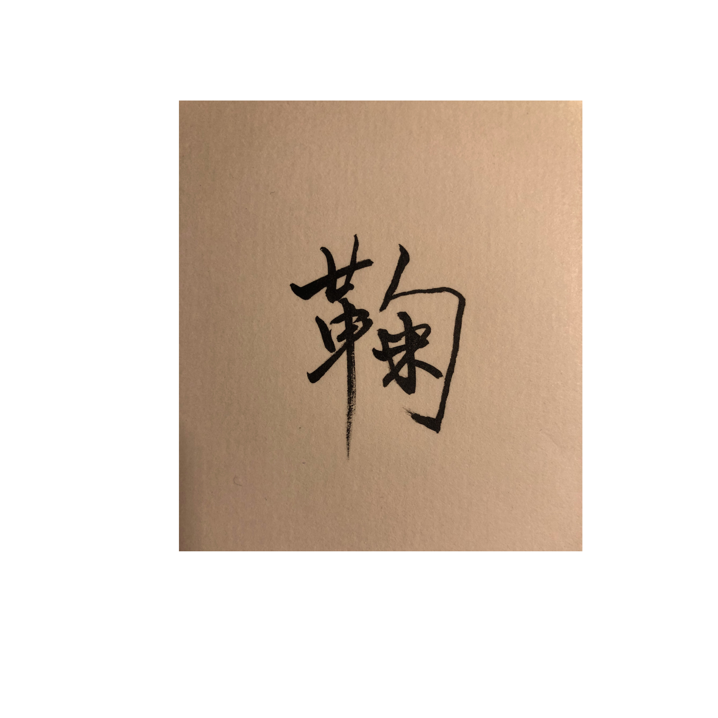 鞠哥说