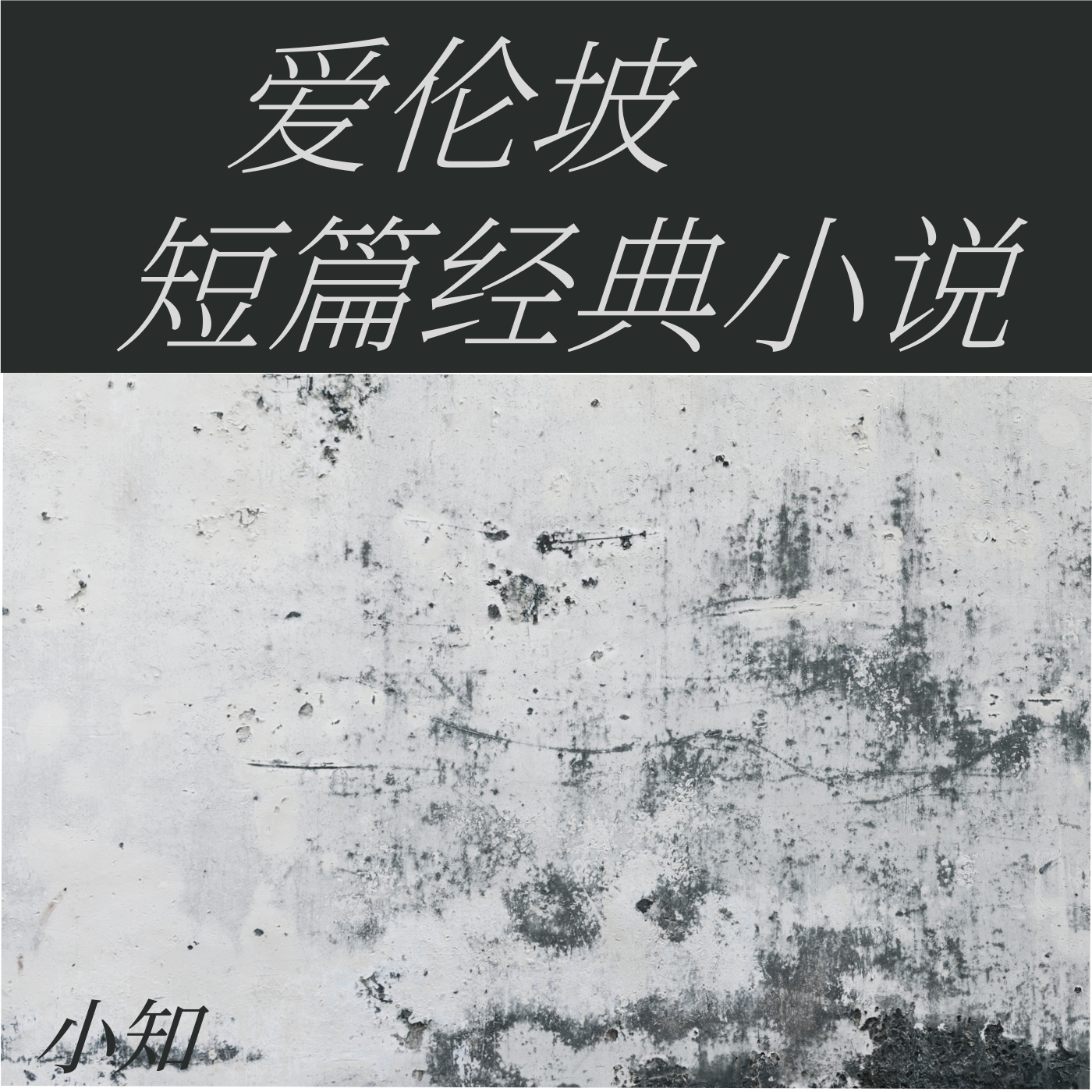 爱伦坡短篇悬疑小说