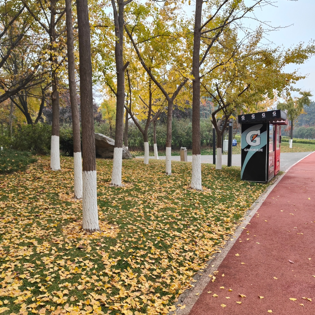 自我介绍