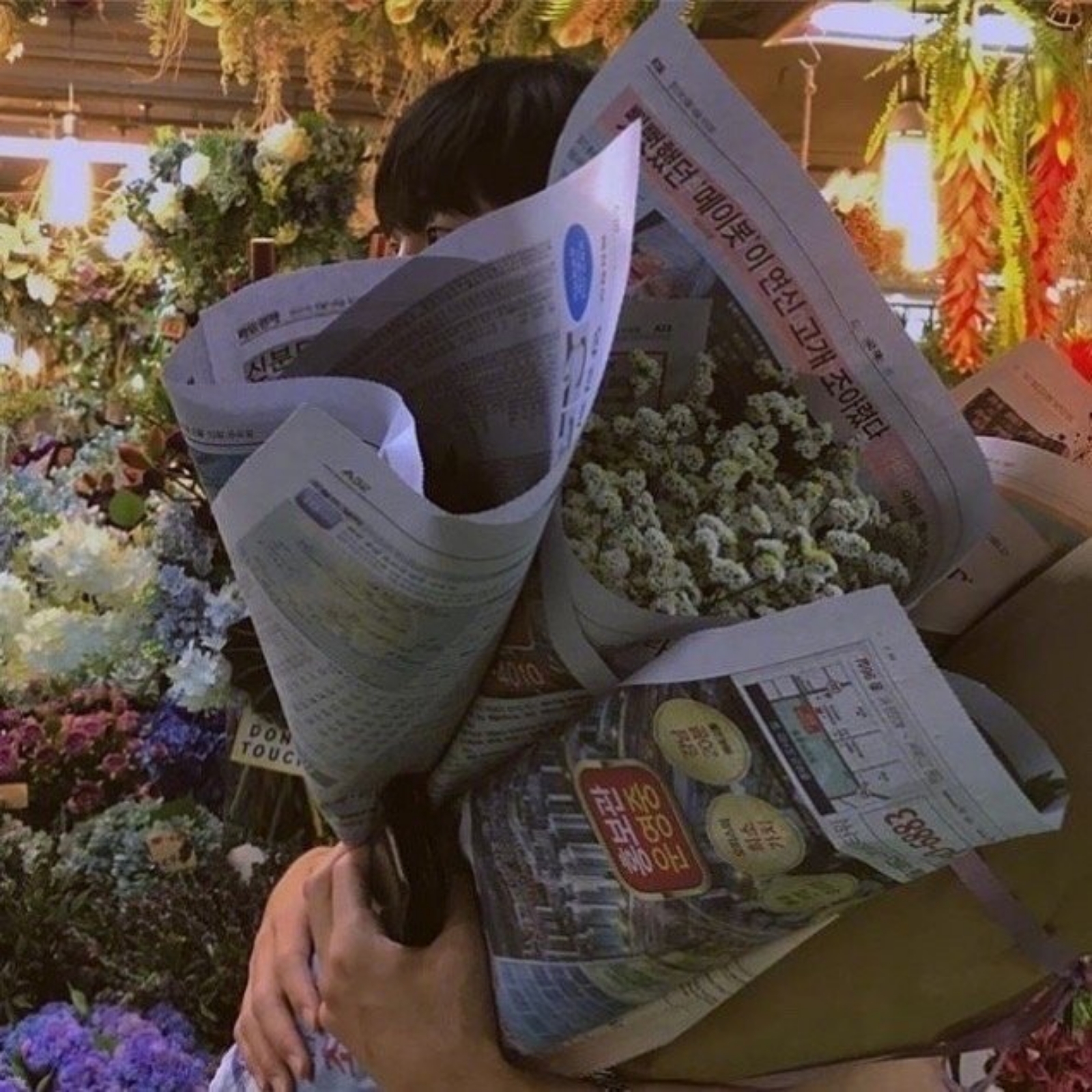 理智森