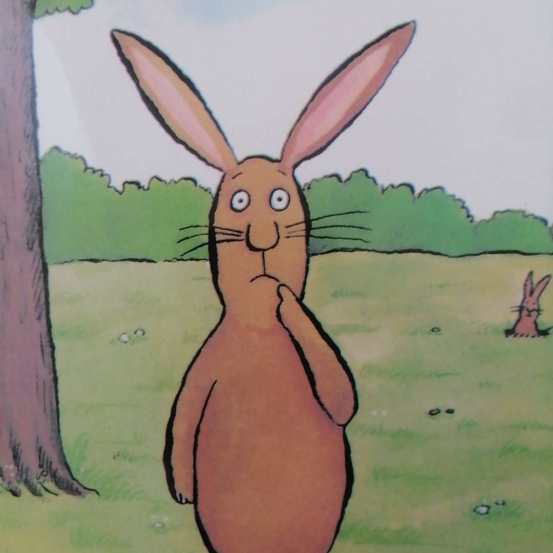 兔子的故事