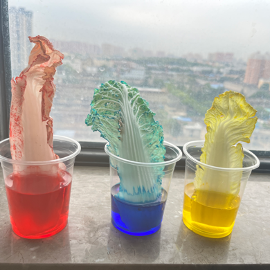 植物妈妈有办法